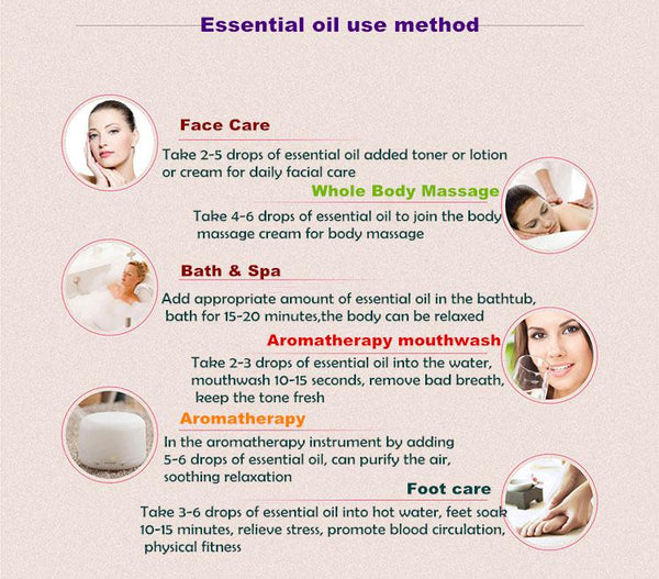 Lavender Fresh Essential Oil